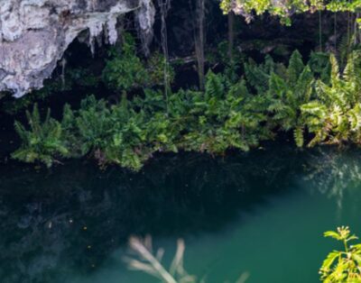 Cenotes Excursions (4 Hours)