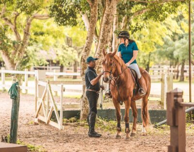 Riding Horses (1 Hours)