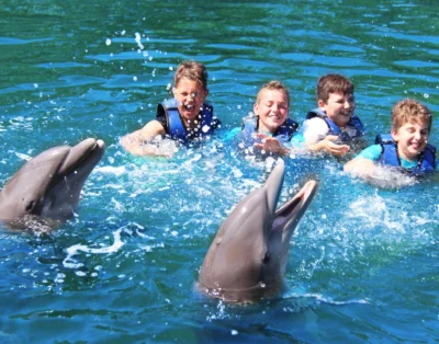 Swimming with Delfines